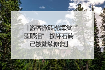 游客掀砖抛海赏“蓝眼泪” 损坏石砖已被陆续修复