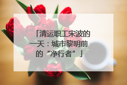 清运职工宋波的一天：城市黎明前的“净行者”