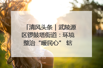 清风头条｜武陵源区锣鼓塔街道：环境整治“暖民心” 辖区面貌“靓”起来