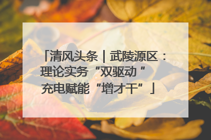 清风头条｜武陵源区：理论实务“双驱动 ” 充电赋能“增才干”