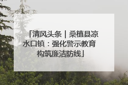 清风头条｜桑植县凉水口镇：强化警示教育 构筑廉洁防线