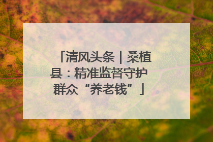 清风头条｜桑植县：精准监督守护群众“养老钱”