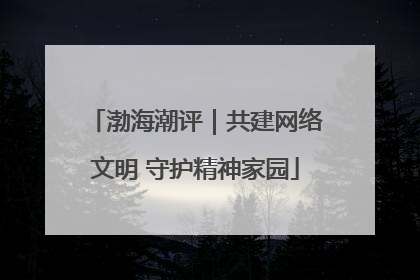 渤海潮评｜共建网络文明 守护精神家园
