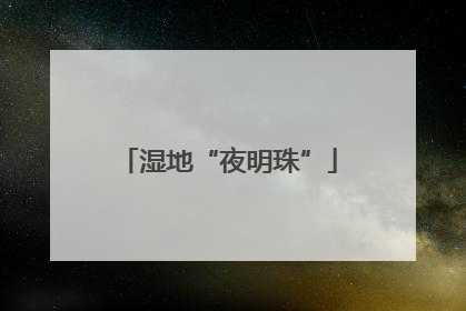 湿地“夜明珠”