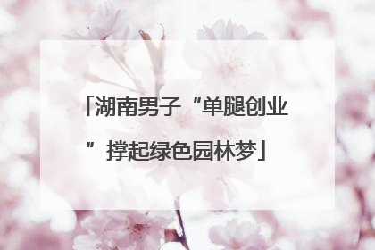 湖南男子“单腿创业”撑起绿色园林梦