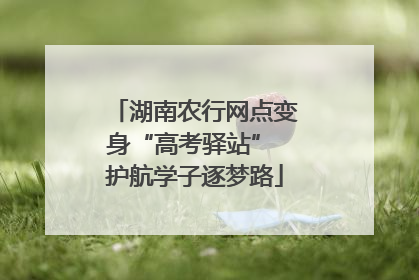 湖南农行网点变身“高考驿站” 护航学子逐梦路