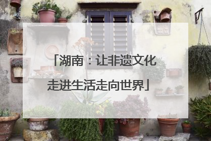 湖南：让非遗文化走进生活走向世界