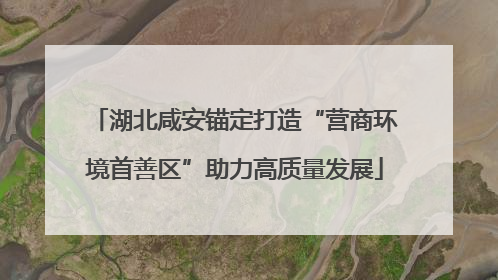 湖北咸安锚定打造“营商环境首善区”助力高质量发展