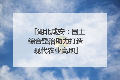 湖北咸安：国土综合整治助力打造现代农业高地