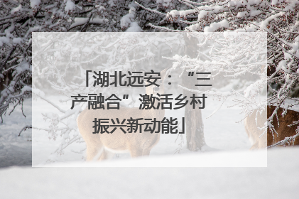 湖北远安：“三产融合”激活乡村振兴新动能
