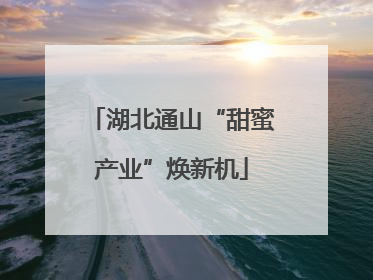 湖北通山“甜蜜产业”焕新机