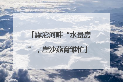 滹沱河畔“水景房”，崖沙燕育雏忙