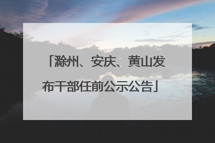 滁州、安庆、黄山发布干部任前公示公告