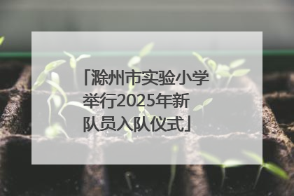 滁州市实验小学举行2025年新队员入队仪式
