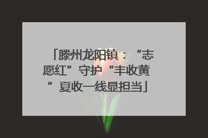 滕州龙阳镇：“志愿红”守护“丰收黄”夏收一线显担当
