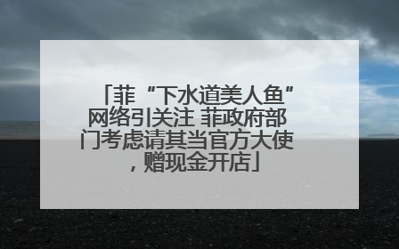菲“下水道美人鱼”网络引关注 菲政府部门考虑请其当官方大使，赠现金开店