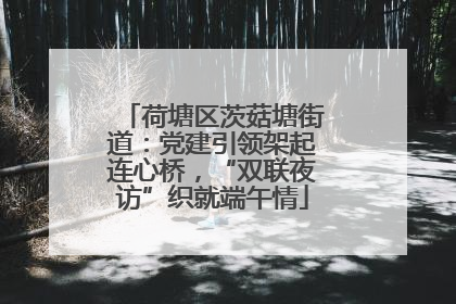 荷塘区茨菇塘街道：党建引领架起连心桥，“双联夜访”织就端午情