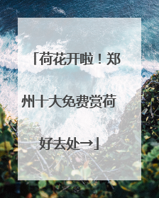 荷花开啦！郑州十大免费赏荷好去处→