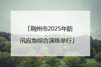 荆州市2025年防汛应急综合演练举行
