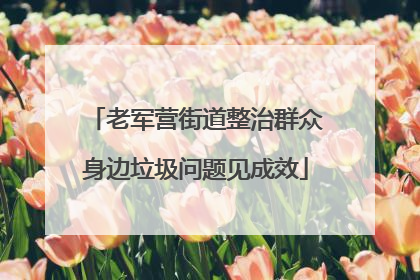 老军营街道整治群众身边垃圾问题见成效