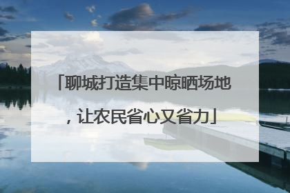聊城打造集中晾晒场地，让农民省心又省力