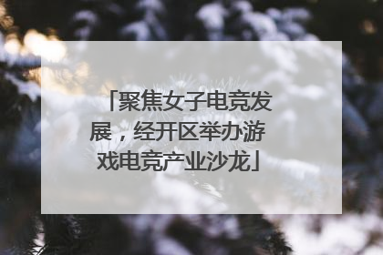 聚焦女子电竞发展，经开区举办游戏电竞产业沙龙