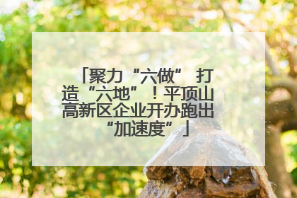 聚力“六做” 打造“六地”！平顶山高新区企业开办跑出“加速度”