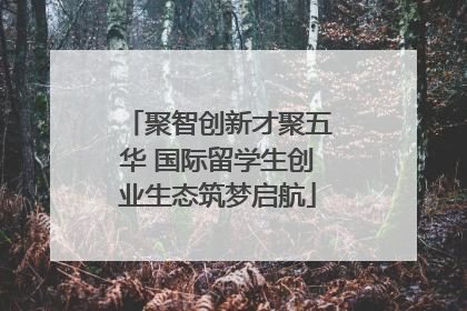 聚智创新才聚五华 国际留学生创业生态筑梦启航