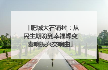 肥城大石铺村：从民生期盼到幸福蝶变奏响振兴交响曲