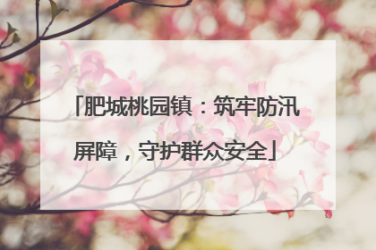 肥城桃园镇：筑牢防汛屏障，守护群众安全