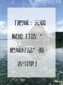 肥城：云端赋能 打造“肥城好品”强农引擎
