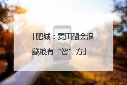 肥城：麦田翻金浪藏粮有“智”方