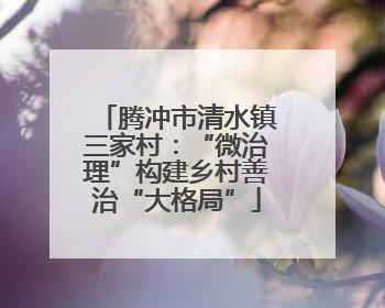 腾冲市清水镇三家村：“微治理”构建乡村善治“大格局”