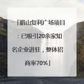 腊山复利广场项目：已吸引20余家知名企业进驻，整体招商率70%