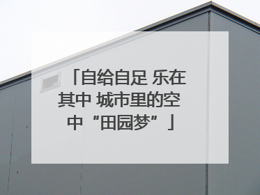 自给自足 乐在其中 城市里的空中“田园梦”