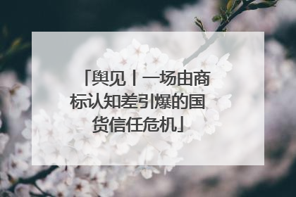 舆见丨一场由商标认知差引爆的国货信任危机