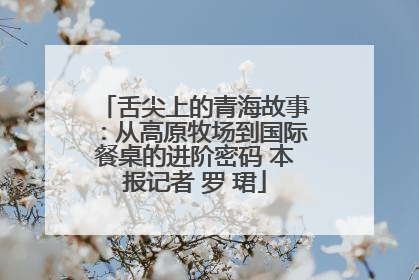 舌尖上的青海故事：从高原牧场到国际餐桌的进阶密码 本报记者 罗 珺