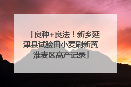 良种+良法！新乡延津县试验田小麦刷新黄淮麦区高产记录