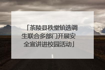 茶陵县秩堂镇选调生联合多部门开展安全宣讲进校园活动