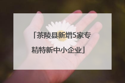 茶陵县新增5家专精特新中小企业