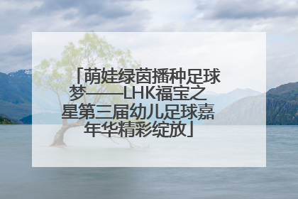 萌娃绿茵播种足球梦——LHK福宝之星第三届幼儿足球嘉年华精彩绽放
