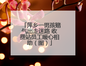 萍乡一男孩赌气出走迷路 收费站员工暖心相助（图）