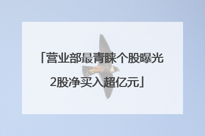 营业部最青睐个股曝光 2股净买入超亿元