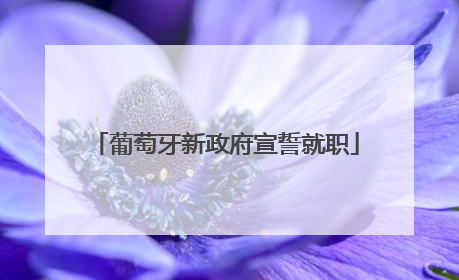 葡萄牙新政府宣誓就职