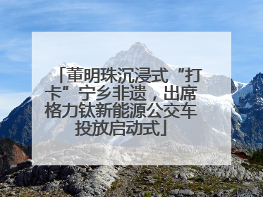 董明珠沉浸式“打卡”宁乡非遗，出席格力钛新能源公交车投放启动式