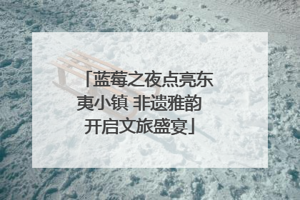 蓝莓之夜点亮东夷小镇 非遗雅韵开启文旅盛宴