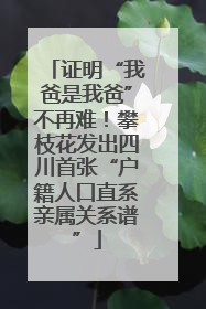 证明“我爸是我爸”不再难！攀枝花发出四川首张“户籍人口直系亲属关系谱”