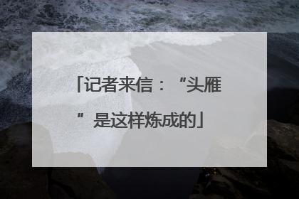 记者来信：“头雁”是这样炼成的