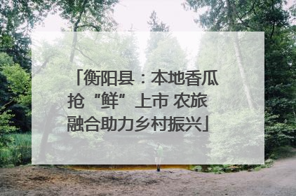 衡阳县：本地香瓜抢“鲜”上市 农旅融合助力乡村振兴