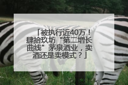 被执行近40万！肆拾玖坊“第二增长曲线”茅泉酒业，卖酒还是卖模式？